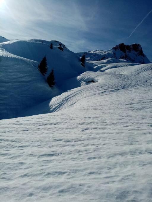 L'Appartement Les Bossons En Lisiere De Foret Dans Le Chalet Genepi 阿雷什 外观 照片